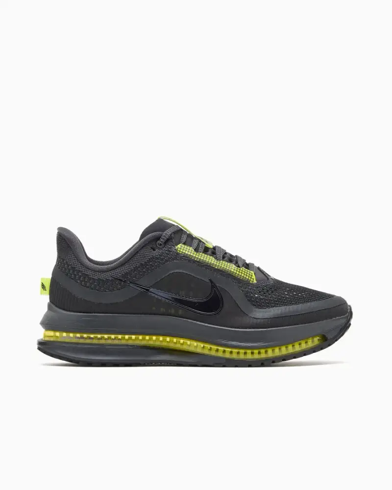 Nike Pegasus Premium Homme Gris