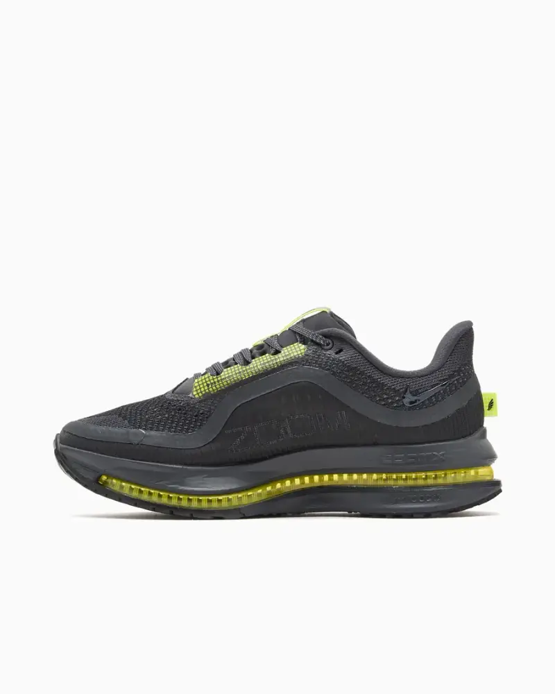 Nike Pegasus Premium Homme Gris